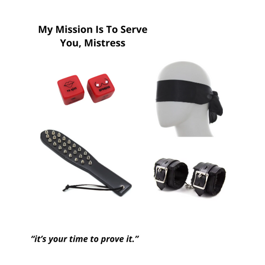 My Mission Is To Serve You, Mistress